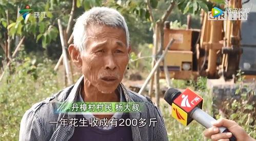 湛江最新农民爆料,揭秘湛江乡村发展新动态